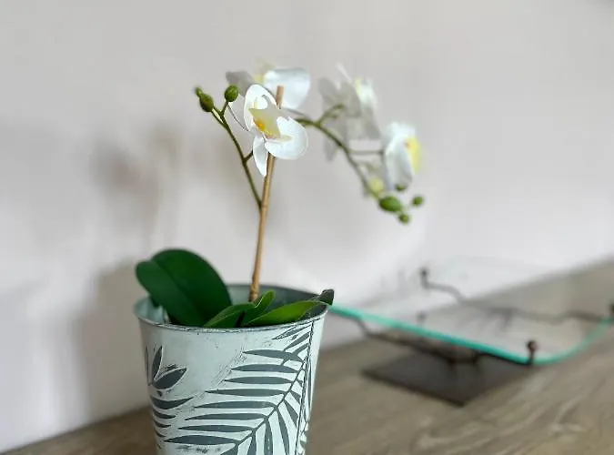 L'ecole Buissonniere Apartment *