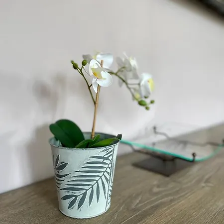 L'ecole Buissonniere شقة *