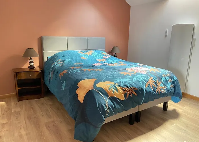 L'ecole Buissonniere Апартаменты